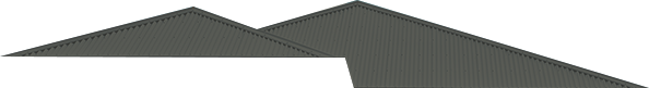 roof--woodland-grey